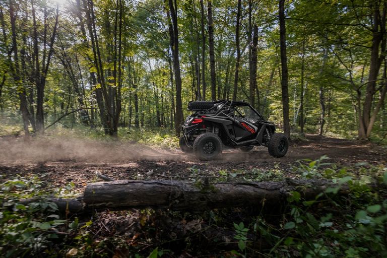 Cuánto cuesta un RZR