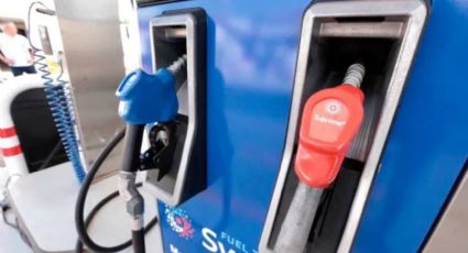 Gasolina azul: ¿Cómo es el combustible que ayuda a reducir las emisiones contaminantes?