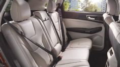 Puntos claves a revisar en tu cinturón de seguridad para salir a carretera