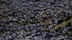 ¡De terror! 86 motos fueron al corralón tras la Mega Rodada 2023