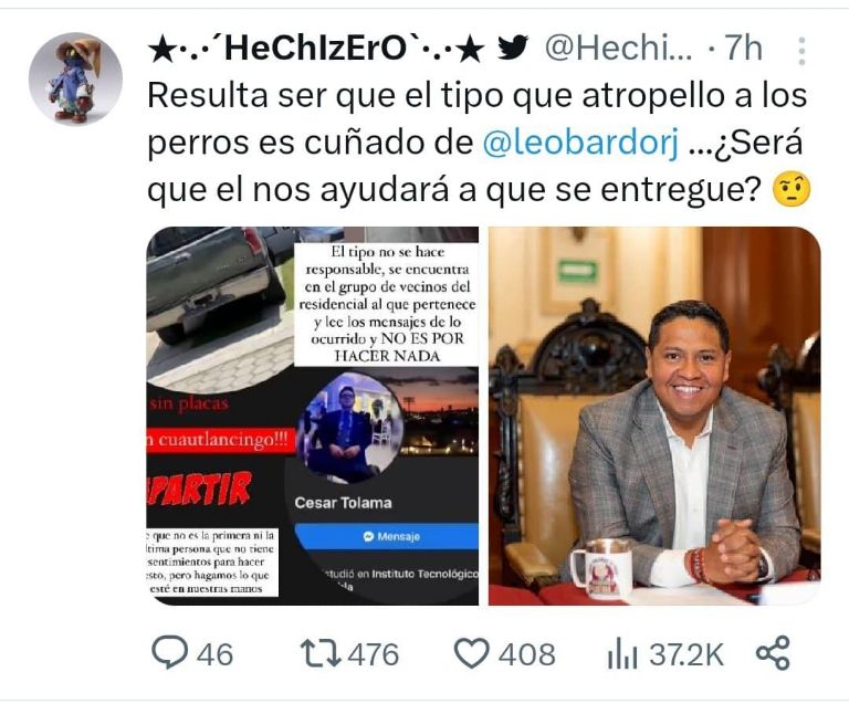 Perritos atropellados Puebla 