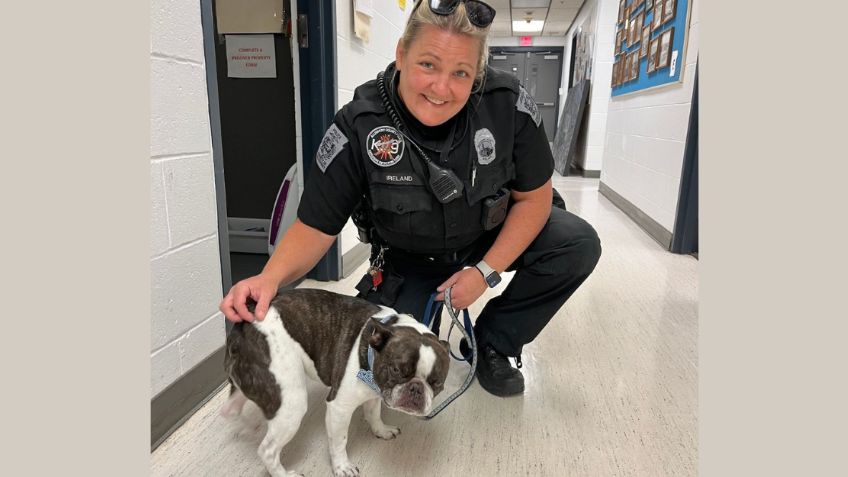 ¡Imperdonable! Mujer abandona a su perrito en el aeropuerto; las autoridades le impondrán la pena máxima