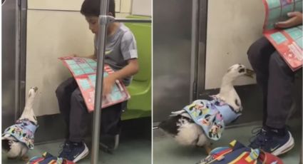 ¡Dos grandes amigos! Se hace viral video entre un niño y su pato en el metro de la CDMX