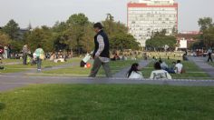 Así funciona PumaDrive, el ‘Uber’ creado por una estudiante de la UNAM