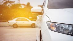 ¡Tragedia! Familia y sus lomitos son encontrados muertos al interior de su auto; fueron víctimas de una intoxicación