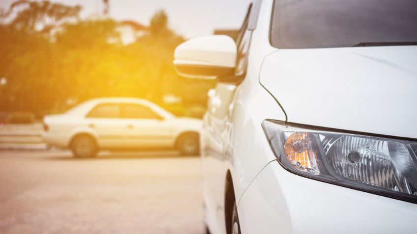 ¡Tragedia! Familia y sus lomitos son encontrados muertos al interior de su auto; fueron víctimas de una intoxicación