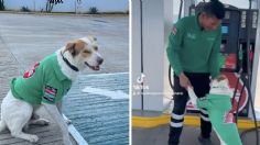 ¡Lleno, por favor! Perrito adoptado en una gasolinera causa furor en redes; porta su uniforme con orgullo