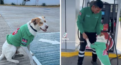 ¡Lleno, por favor! Perrito adoptado en una gasolinera causa furor en redes; porta su uniforme con orgullo