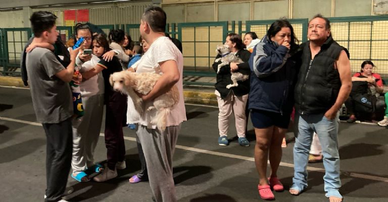 Sismo seguro de auto 