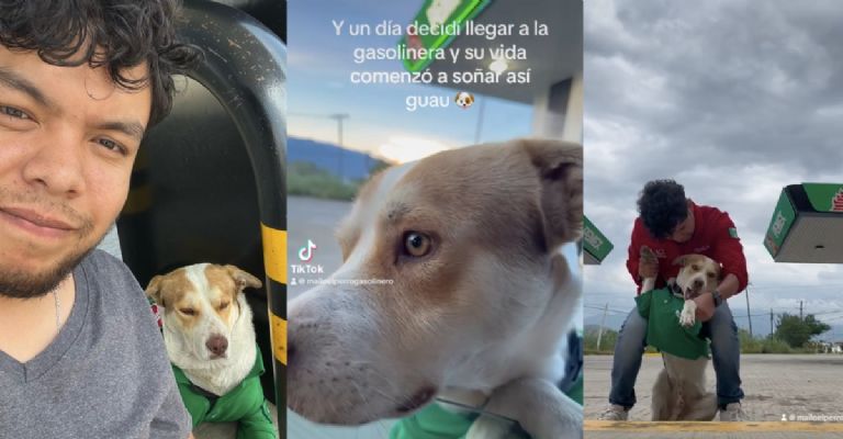 Mailo, el perro gasolinero 