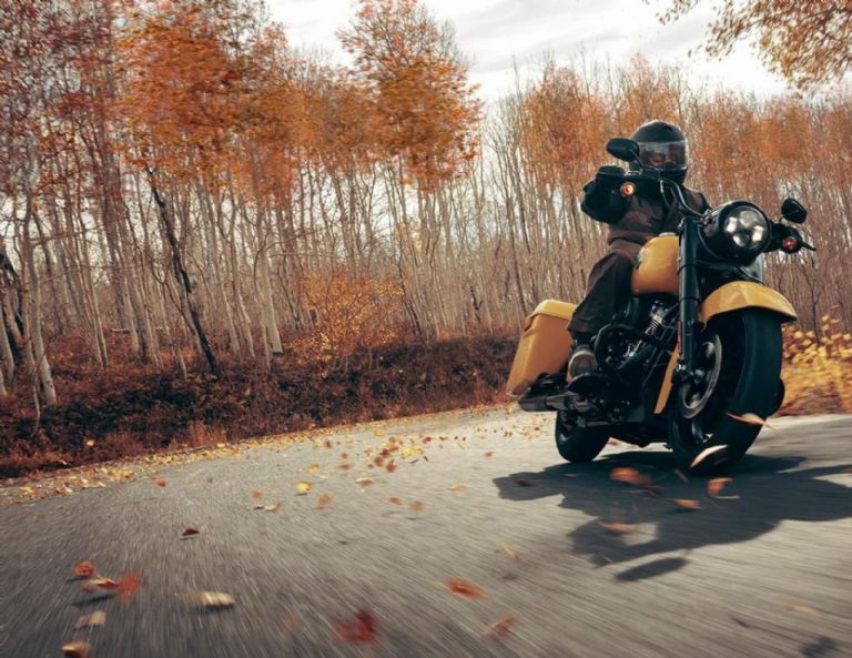 Especificaciones de la Harley-Davidson Road King Special