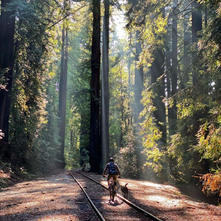 Cuál es la mejor bicicleta para hacer ejercicio