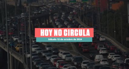 Hoy No Circula sabatino 12 de octubre de 2024 en CDMX y Edomex: ¿Qué autos descansan?