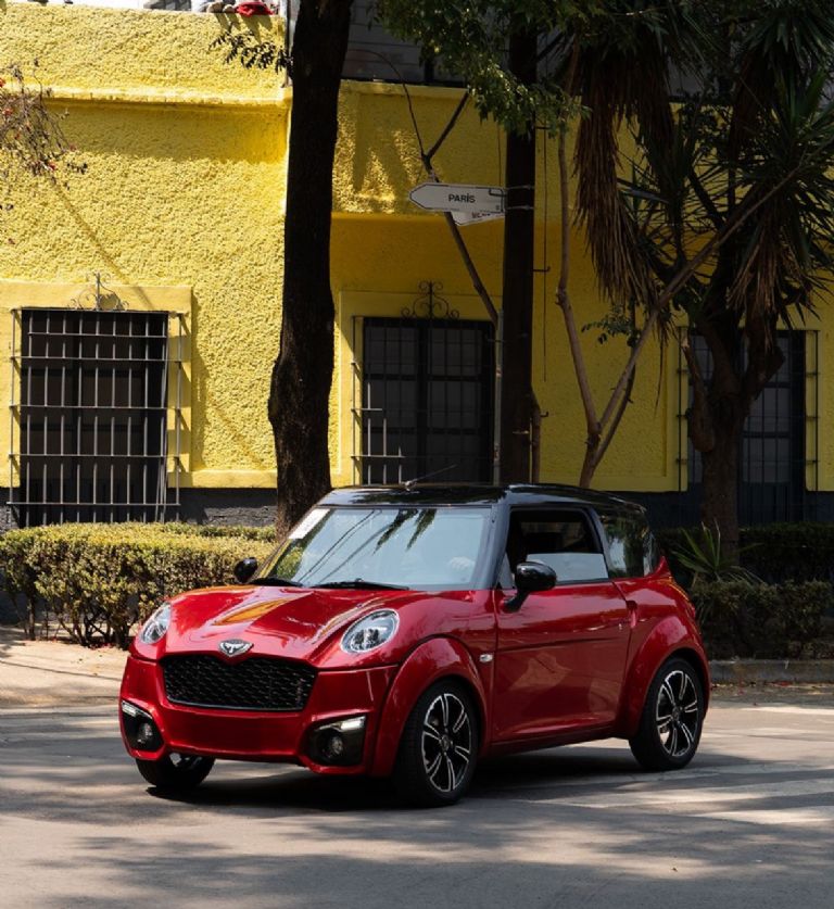 Olinia podría competir directamente con Zacua