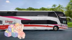 Viral: este camión de pasajeros parece que dio a luz a uno más chiquito