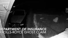 Video Viral: Estas personas fueron detenidas por cobrar el seguro de auto fingiendo ataques de oso