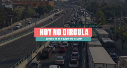 Hoy No Circula sabatino 16 de noviembre de 2024 en CDMX y Edomex: ¿Qué autos descansan?