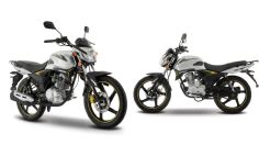 Moto de trabajo: Este modelo de Italika es uno de los mejores que hay en el mercado