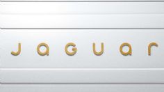 Jaguar da su versión de los hechos, todo esto ha sido por la exuberancia