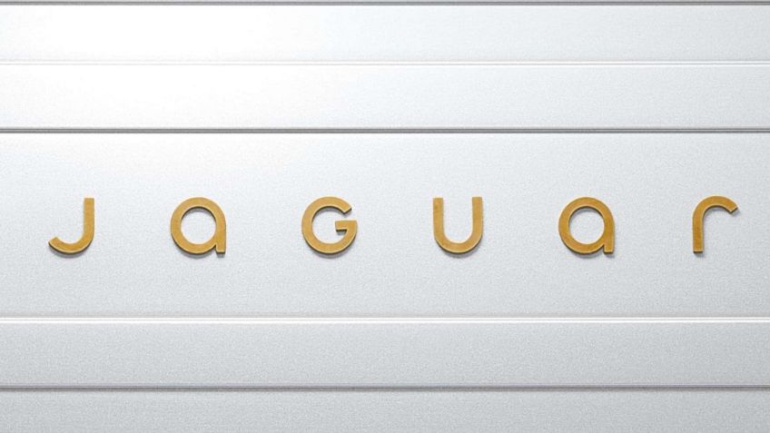 Jaguar da su versión de los hechos, todo esto ha sido por la exuberancia