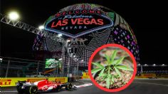 ¡Un ambiente pesado! Los pilotos de F1 se quejan de olor intenso a marihuana en Las Vegas