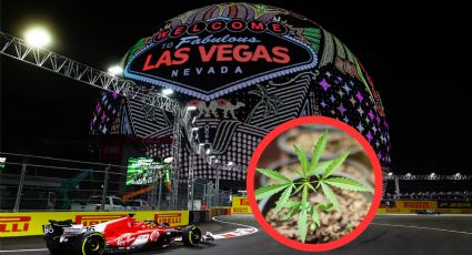 ¡Un ambiente pesado! Los pilotos de F1 se quejan de olor intenso a marihuana en Las Vegas