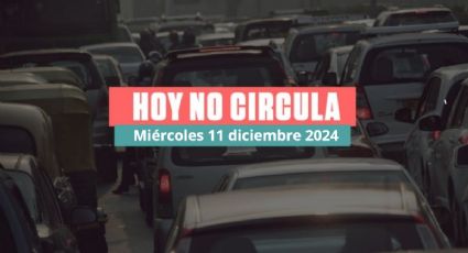 Hoy No Circula miércoles 11 de diciembre 2024: ¿Qué autos no circulan en CDMX y Edomex?