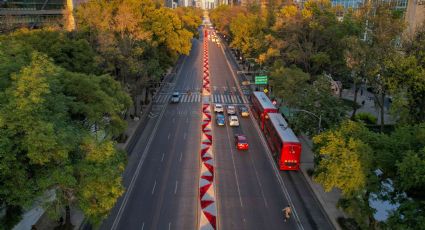 Festival Flores de Nochebuena en Avenida Paseo de la Reforma