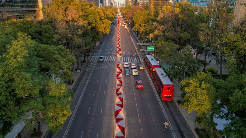 Festival Flores de Nochebuena en Avenida Paseo de la Reforma