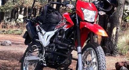 ¿Quieres comprar una motocicleta? Honda Motos México ya tiene descuentos increíbles para esta navidad 2024