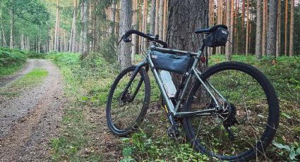 Continental y Vittoria: Dos de las mejores llantas para tu bicicleta