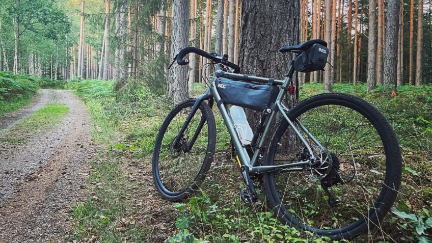 Continental y Vittoria: Dos de las mejores llantas para tu bicicleta