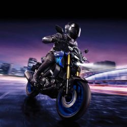 ¿Qué cilindrada es la moto Yamaha MT-15 2025?