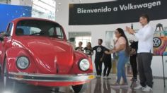 Viral en Internet: Este Vochito fue rescatado del Huracán Otis y quedó como nuevo