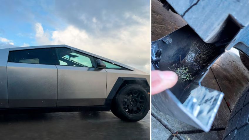 Crece césped dentro de Tesla Cybertruck, ¡qué impresión!
