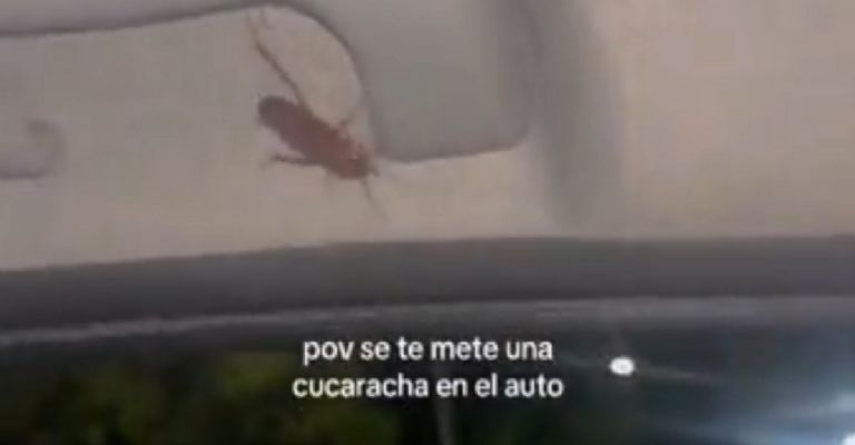 Esto le pasó a la tiktoker