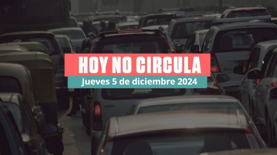 Ve qué autos de holograma 1 y 2 no pueden circular