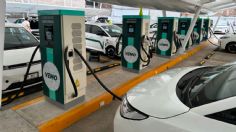 ¿Vale la pena comprar un auto híbrido para usarlo de taxi en México? Análisis de ahorro