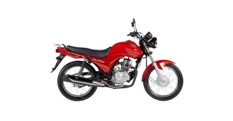 Honda GL150 DS 2024