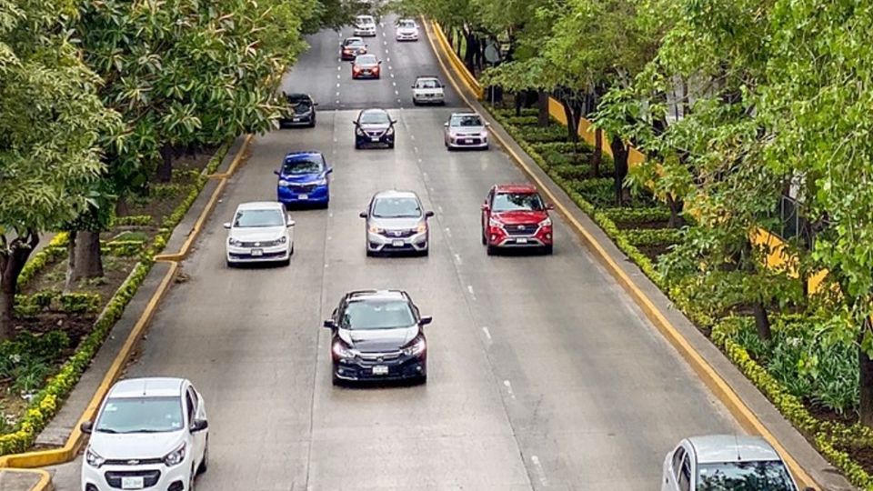 Esto es lo que debes de tener en tu auto de documentos