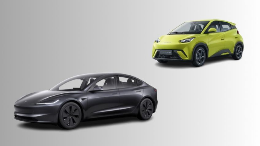 Guerra de precios: ¿Qué conviene más, el auto más barato de Tesla o el de BYD?