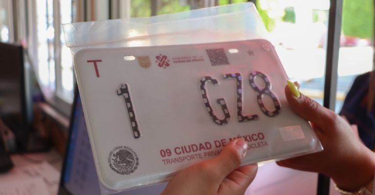 Limpieza de Placas