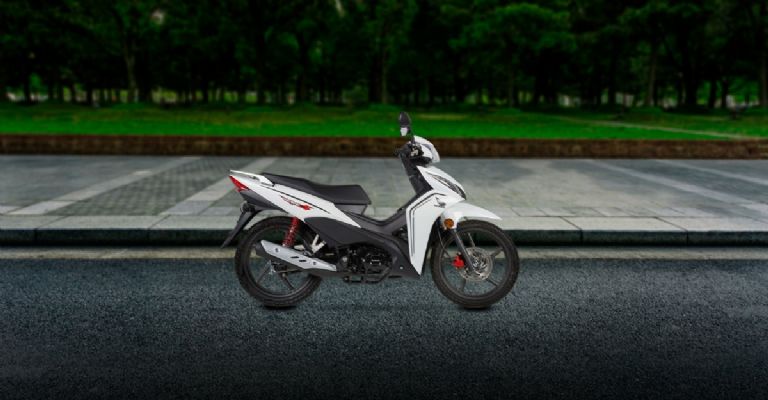 Honda WAVE 110 2024