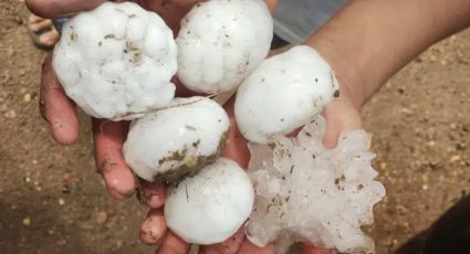 Granizo destroza parabrisas de varios autos en Nuevo León, México, ¡sálvense quien pueda!