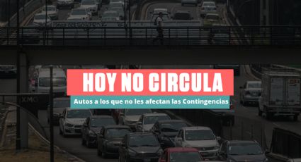 Hoy No Circula: Los mejores autos que te puedes comprar este 2024 para no descansar