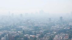 Doble Hoy No Circula: ¿De cuánto es la multa si no los respetas y sales en el auto?