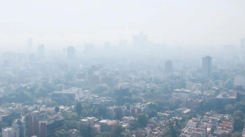 Doble Hoy No Circula: ¿De cuánto es la multa si no los respetas y sales en el auto?