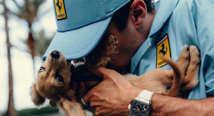 VIRAL: Teoría asegura que Leo es el amuleto de la suerte de Charles Leclerc