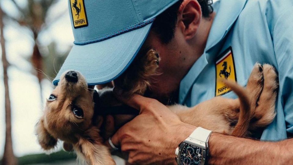 Charles Leclerc acaba de adoptar un cachorro que ya forma parte de su familia.