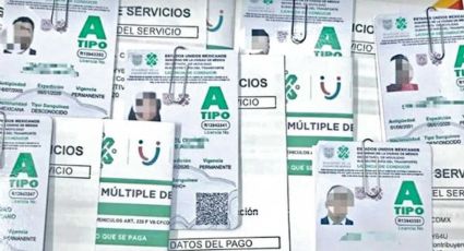 ¿Regresará la licencia de conducir permanente? Podría extenderse a toda la República Mexicana